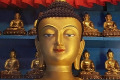 14390974_10154639445115815_2683304245459253149_n