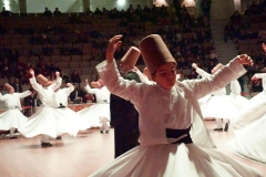 15337653_10154900614350815_4251177838208330178_n